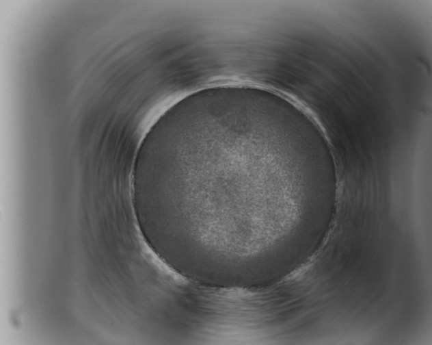 X0000099541239200805231119