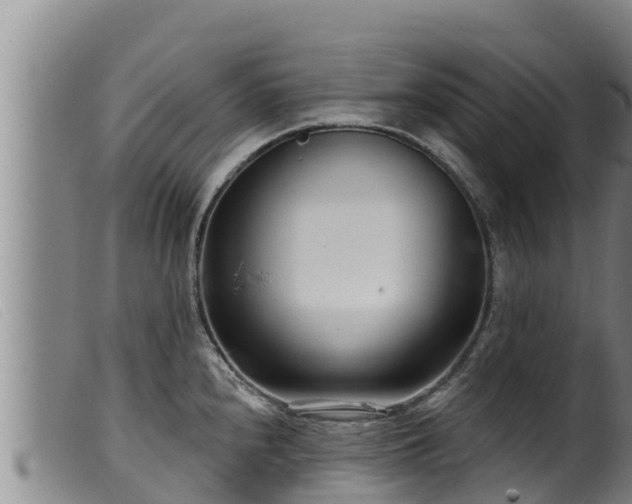 X0000099541240200805231119