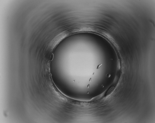 X0000099541241200805231119