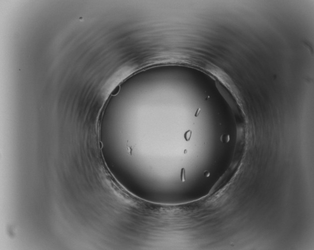 X0000099541242200805231119