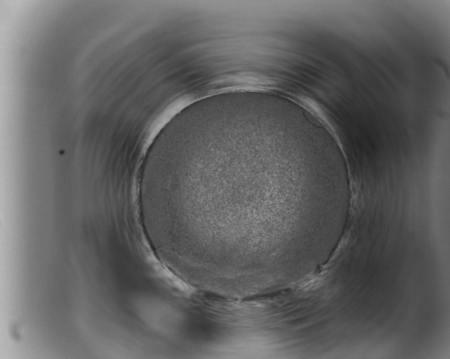 X0000099541243200805231119