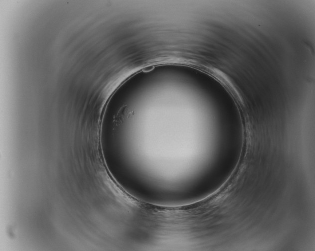 X0000099541244200805231119