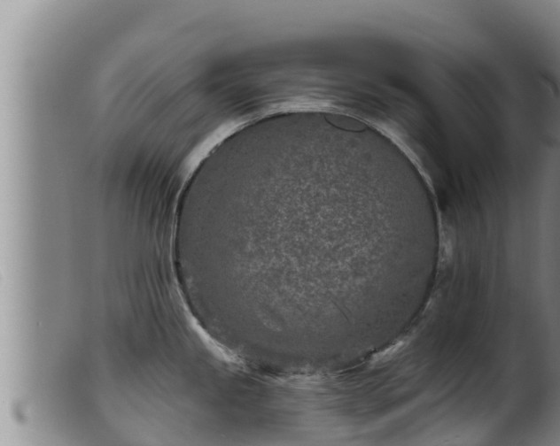 X0000099541245200805231119