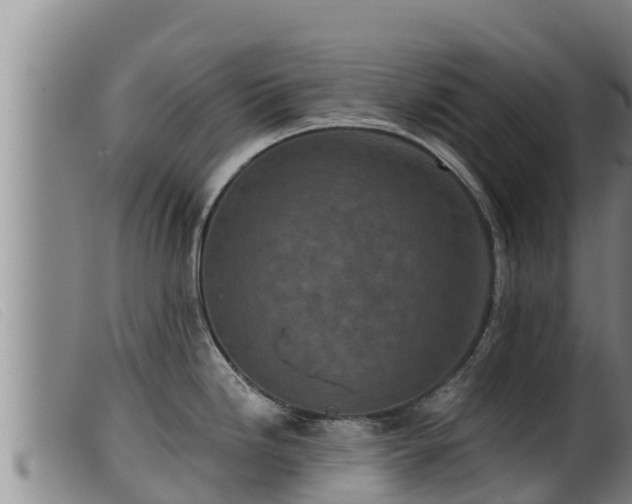 X0000099541246200805231119