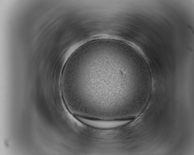 X0000099541247200805231119