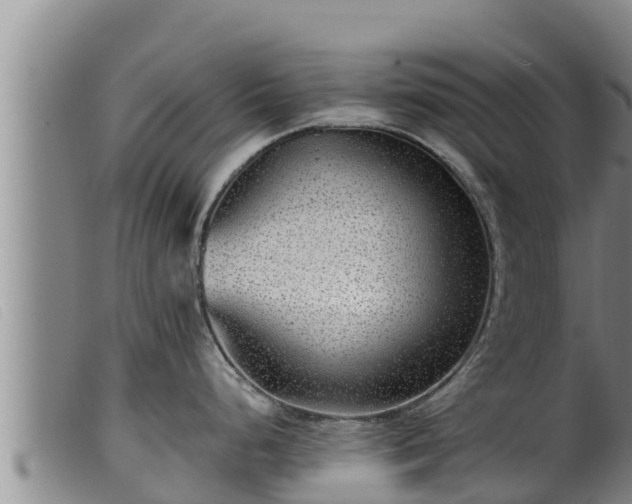 X0000099541248200805231119