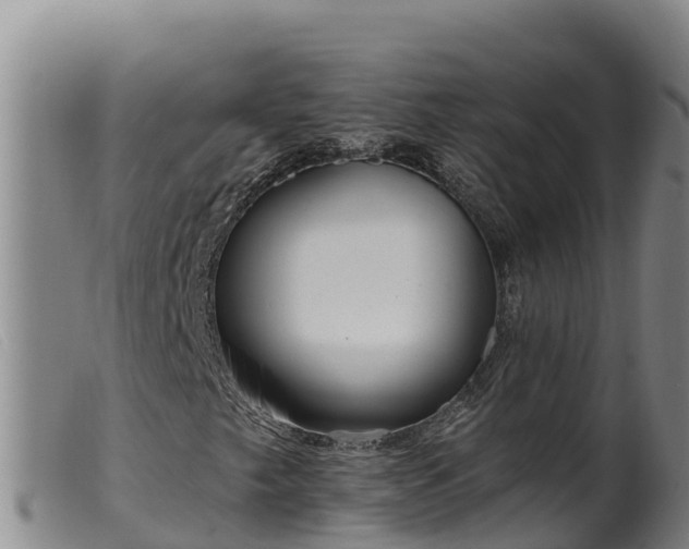 X0000099541249200805231118