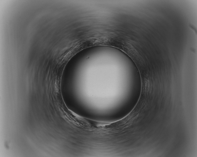 X0000099541250200805231118