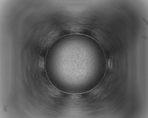 X0000099541251200805231118