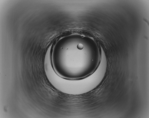 X0000099541252200805231118