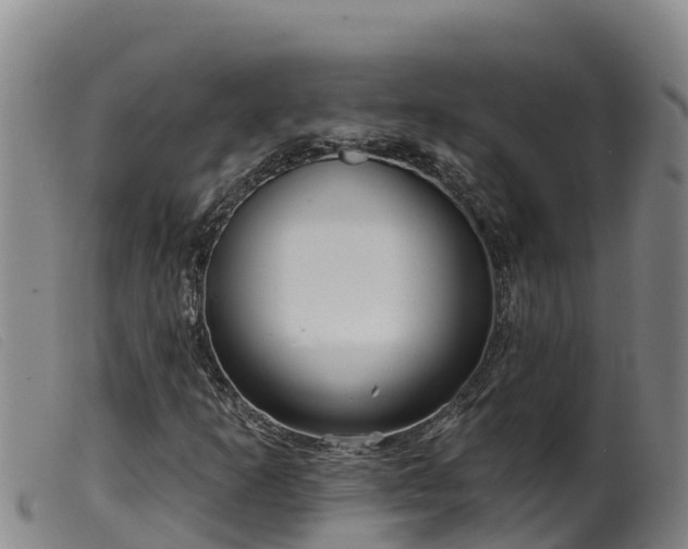 X0000099541253200805231118