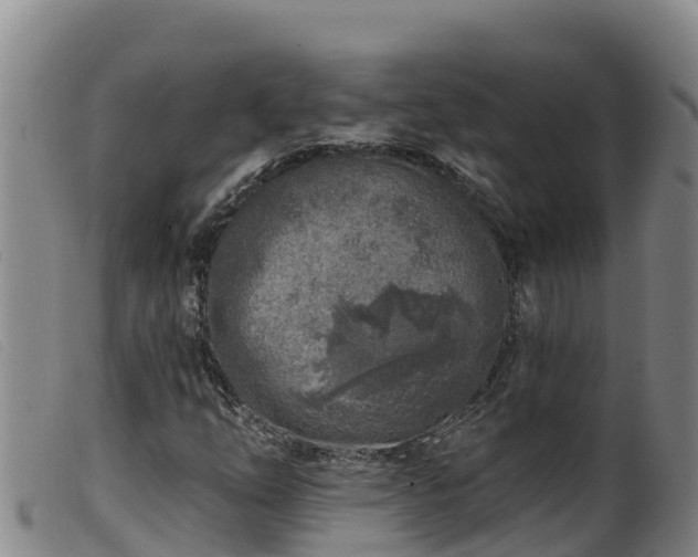 X0000099541254200805231118