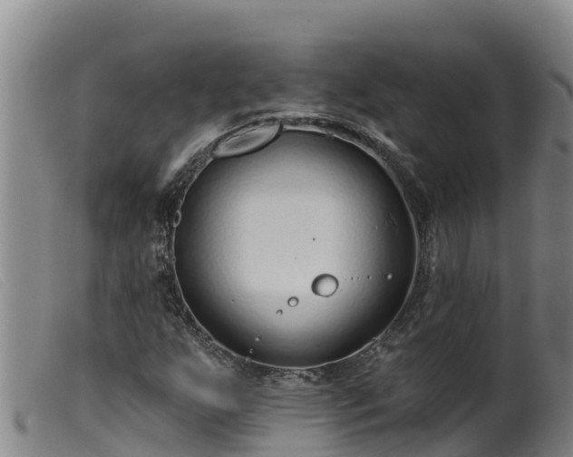 X0000099541255200805231118