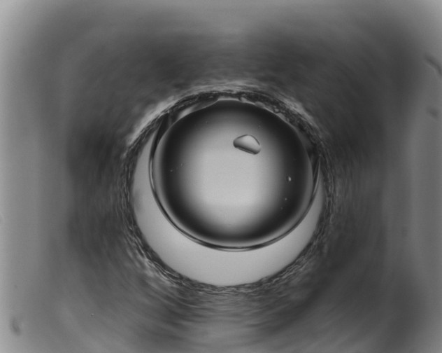 X0000099541256200805231118