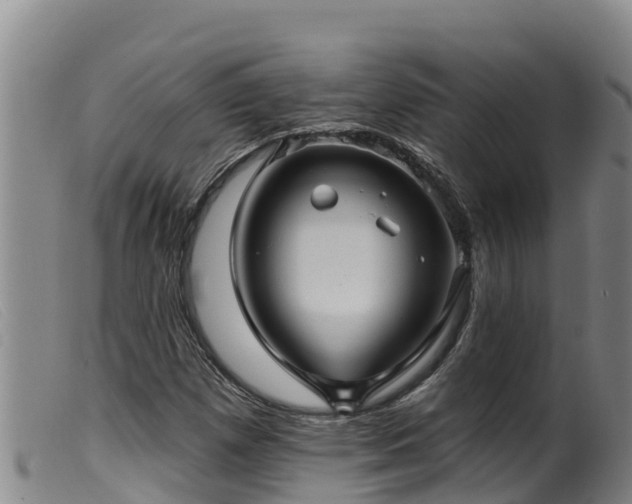 X0000099541257200805231118