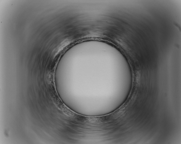 X0000099541258200805231118