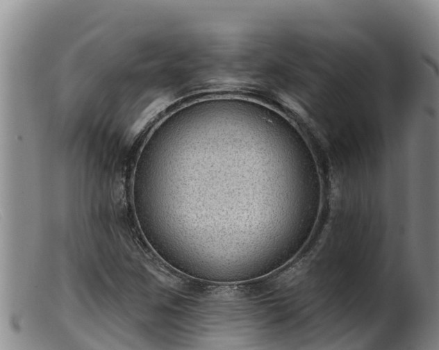 X0000099541259200805231118