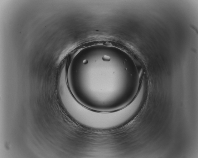 X0000099541261200805231118