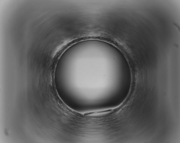 X0000099541262200805231118