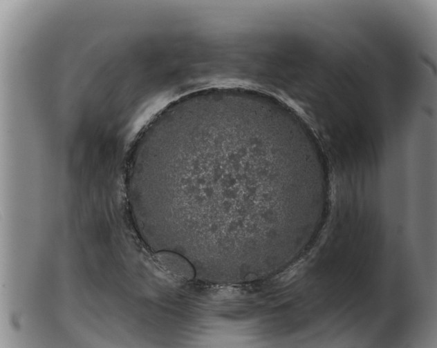 X0000099541263200805231118