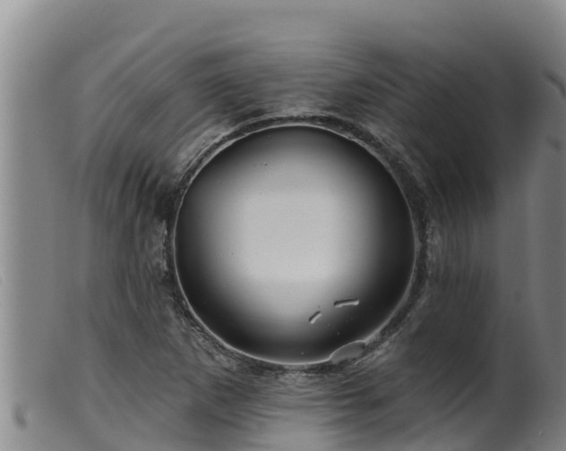 X0000099541265200805231118