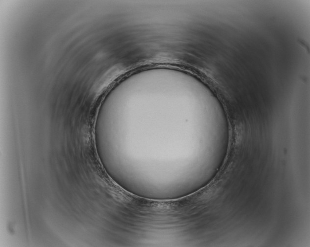 X0000099541266200805231118