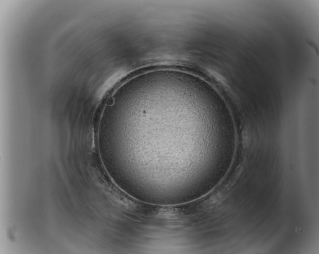 X0000099541267200805231118