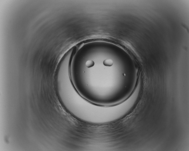 X0000099541268200805231118