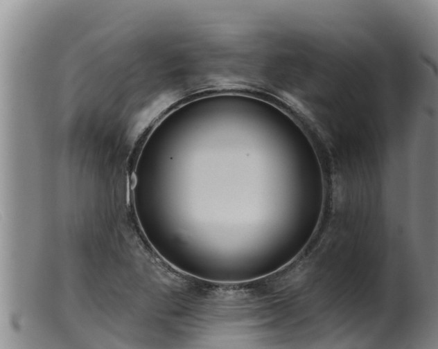 X0000099541269200805231118