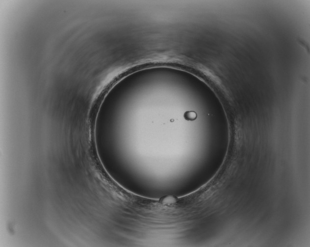 X0000099541270200805231118