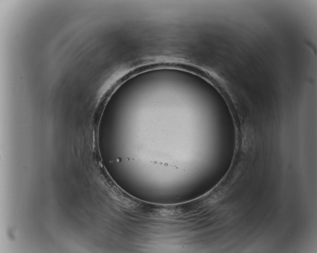 X0000099541271200805231118