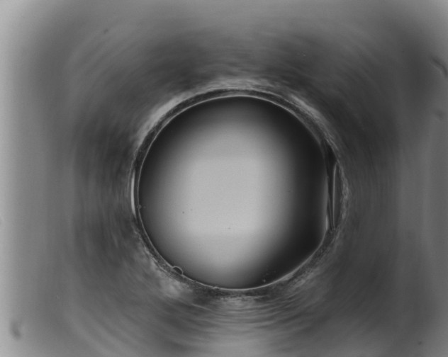 X0000099541272200805231118