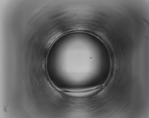 X0000099541273200805231118