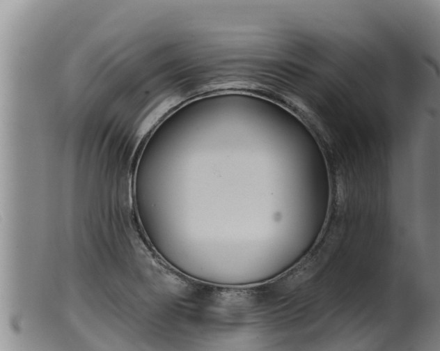 X0000099541274200805231118