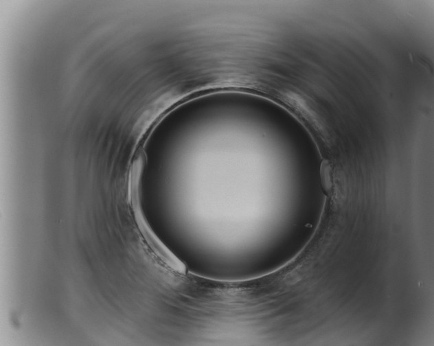 X0000099541276200805231118