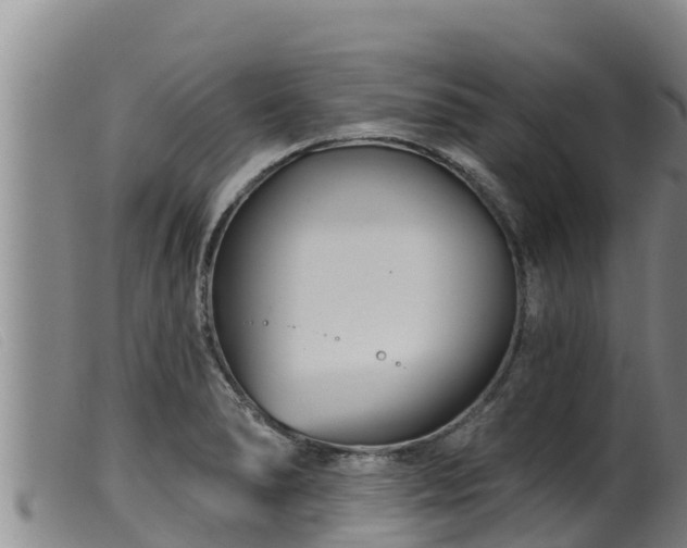 X0000099541278200805231117