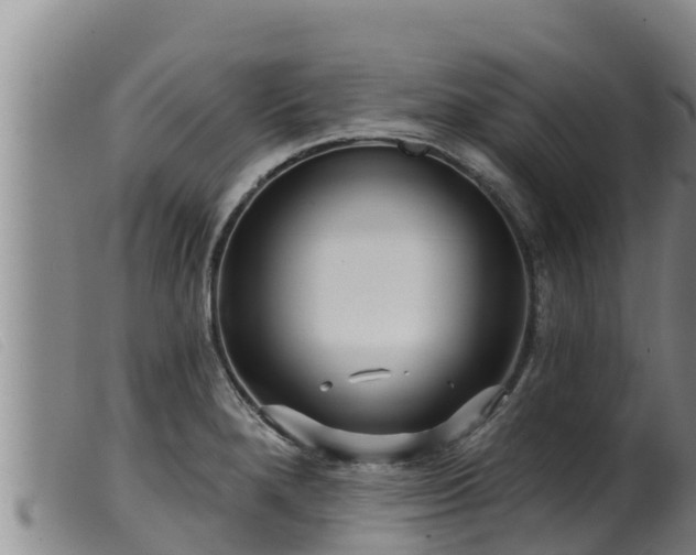 X0000099541280200805231117