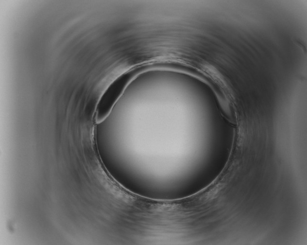 X0000099541284200805231117