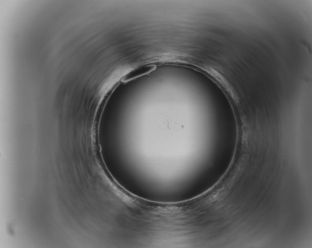 X0000099541285200805231117