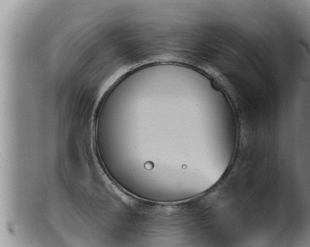 X0000099541286200805231117