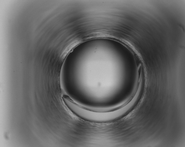 X0000099541289200805231117