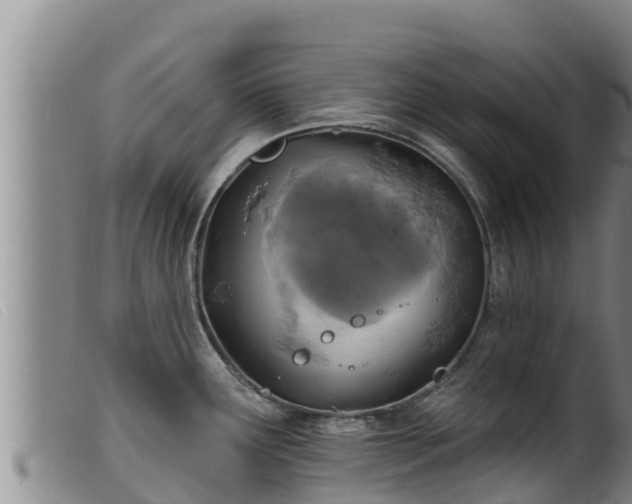 X0000099541291200805231117