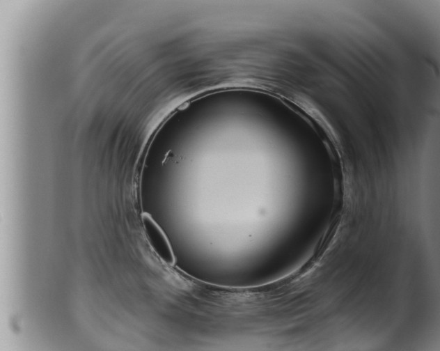 X0000099541292200805231117