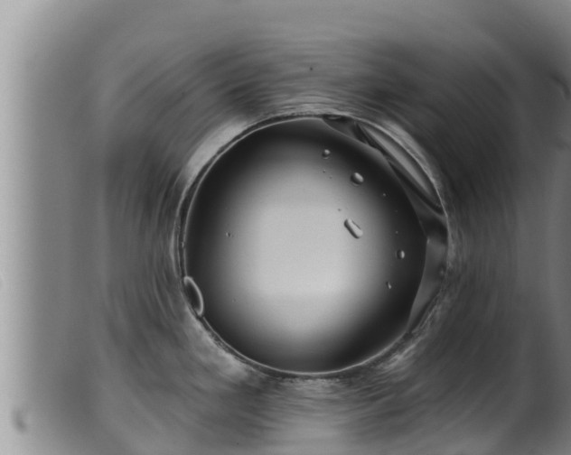 X0000099541293200805231117