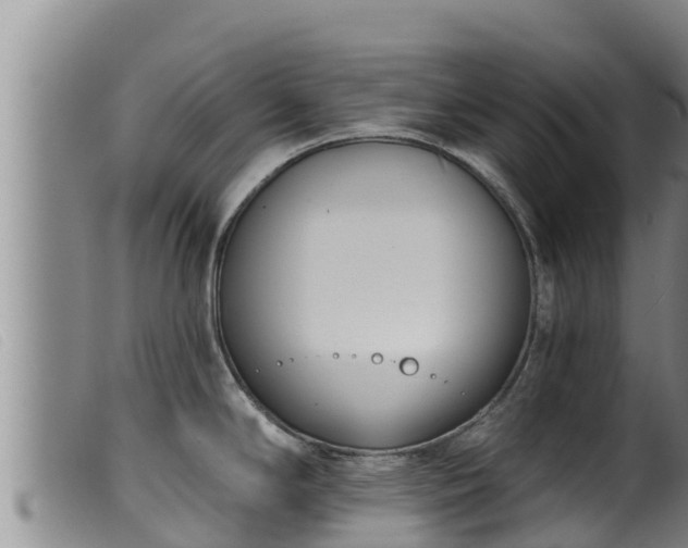 X0000099541294200805231117