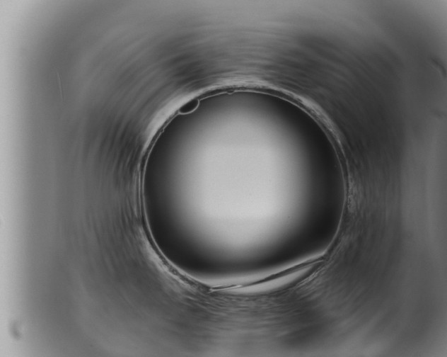 X0000099541295200805231117