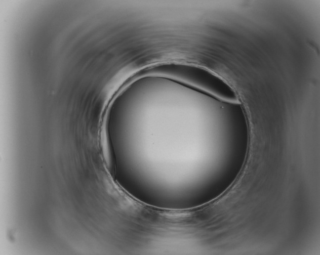 X0000099541296200805231117