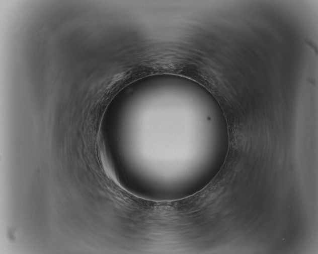 X0000099541297200805231117