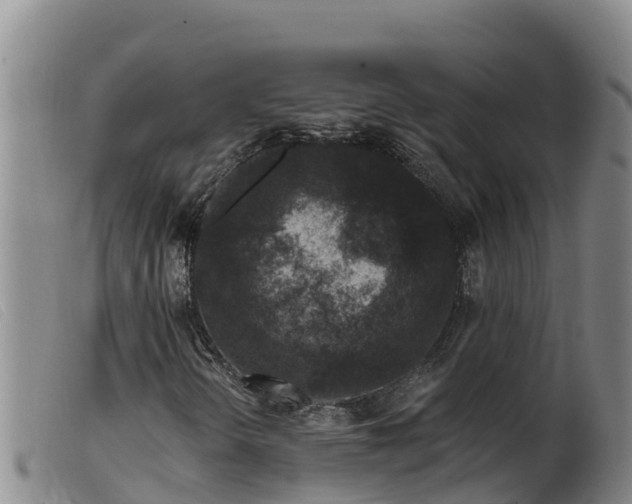 X0000099541298200805231117