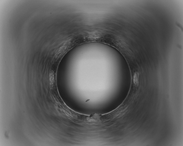 X0000099541299200805231117